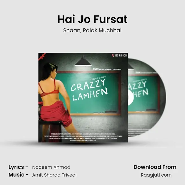 Hai Jo Fursat - Shaan album cover 