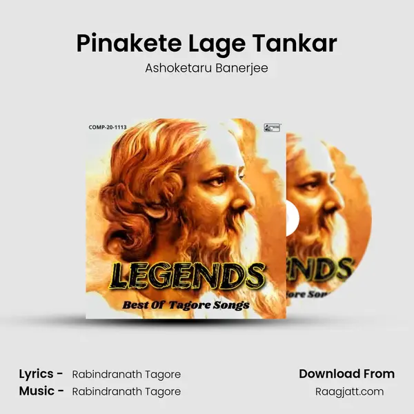 Pinakete Lage Tankar - Ashoketaru Banerjee album cover 