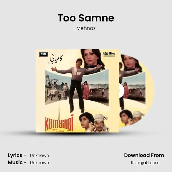 Too Samne - Mehnaz album cover 