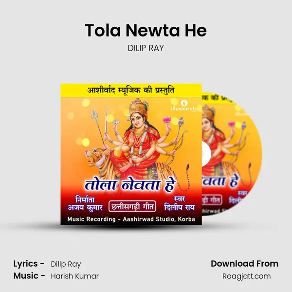 Tola Newta He - DILIP RAY album cover 