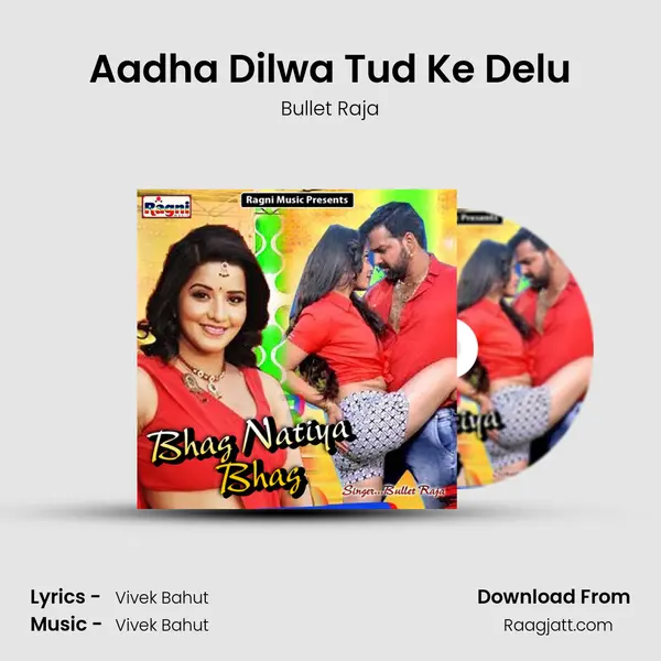 Aadha Dilwa Tud Ke Delu - Bullet Raja album cover 