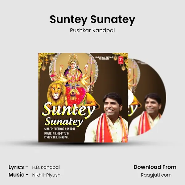 Suntey Sunatey - Pushkar Kandpal album cover 