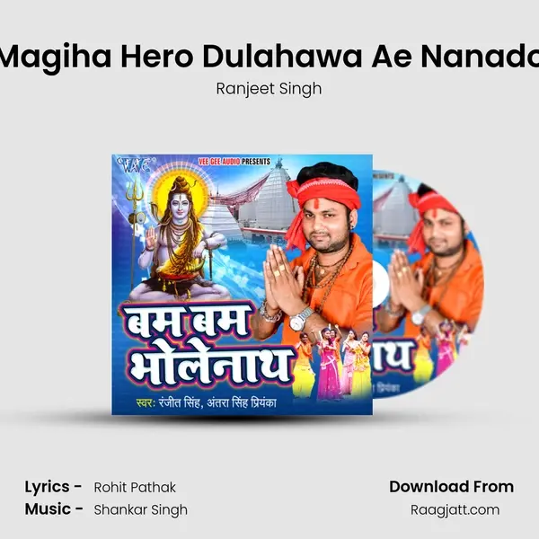 Magiha Hero Dulahawa Ae Nanado - Ranjeet Singh album cover 