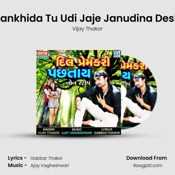 Pankhida Tu Udi Jaje Janudina Desh - Vijay Thakor album cover 