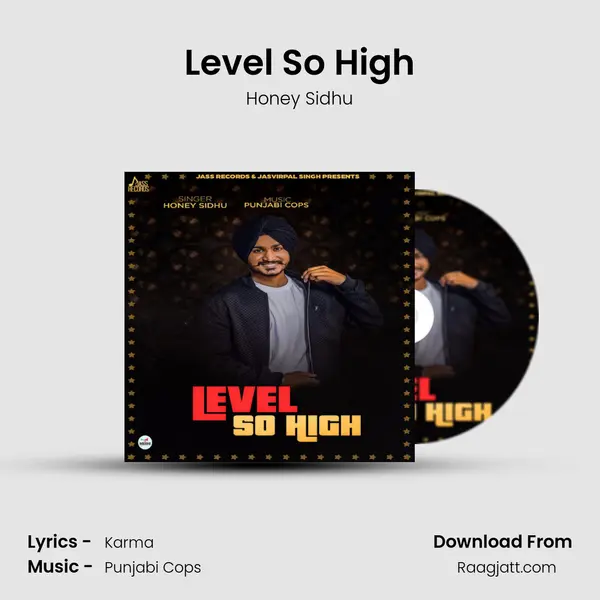 Level So High - Honey Sidhu album cover 