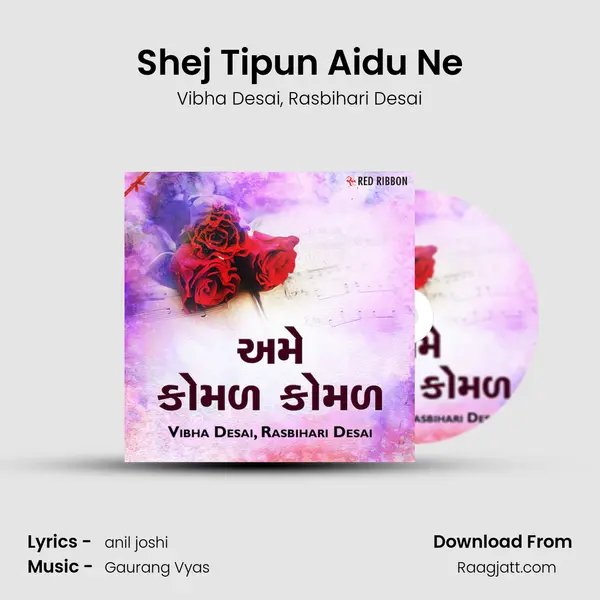 Shej Tipun Aidu Ne - Vibha Desai album cover 