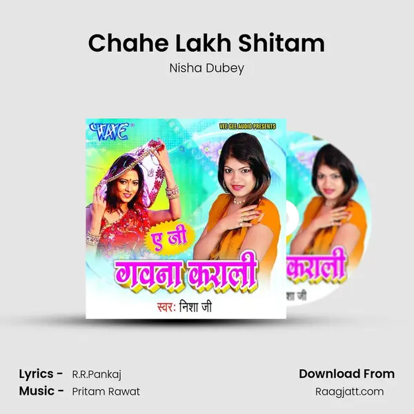 Chahe Lakh Shitam - Nisha Dubey album cover 