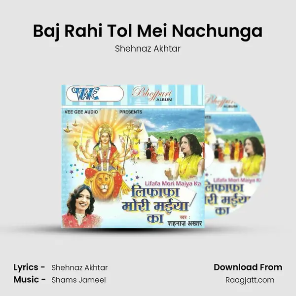 Baj Rahi Tol Mei Nachunga mp3 song