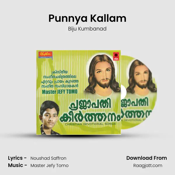 Punnya Kallam - Biju Kumbanad album cover 