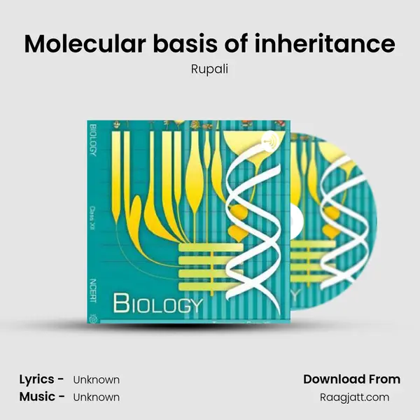 Molecular basis of inheritance mp3 song