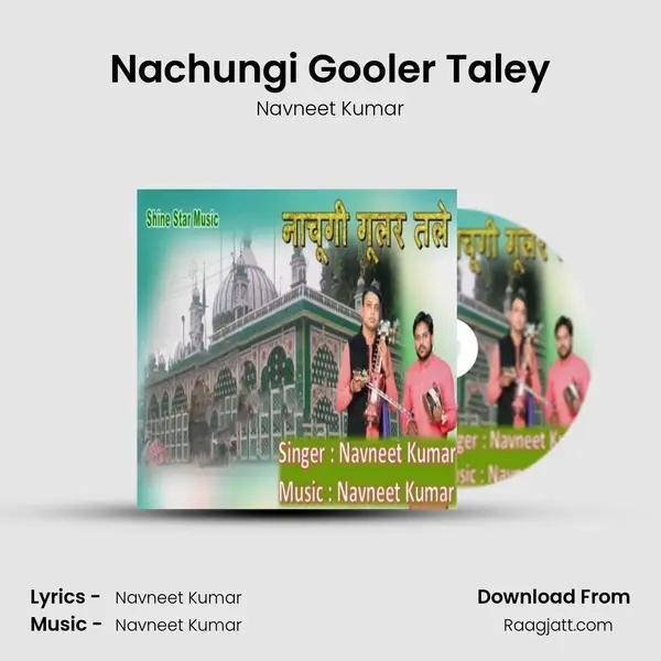 Nachungi Gooler Taley - Navneet Kumar mp3 song