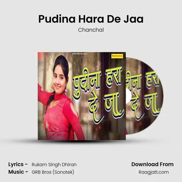 Pudina Hara De Jaa mp3 song