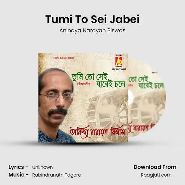 Tumi To Sei Jabei - Anindya Narayan Biswas album cover 