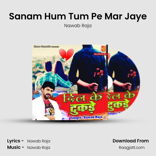 Sanam Hum Tum Pe Mar Jaye - Nawab Raja album cover 