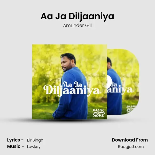 Aa Ja Diljaaniya - Amrinder Gill album cover 