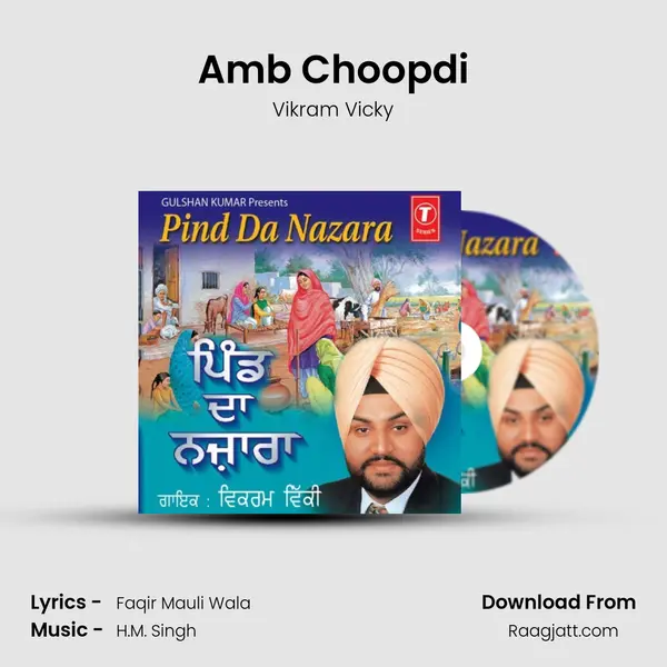 Amb Choopdi - Vikram Vicky album cover 