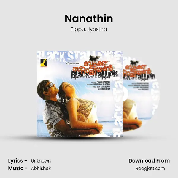 Nanathin - Tippu album cover 