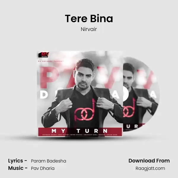 Tere Bina - Nirvair album cover 