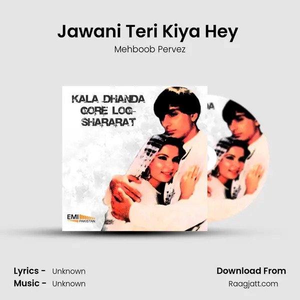 Jawani Teri Kiya Hey (From Kala Dhanda Gore Log) mp3 song