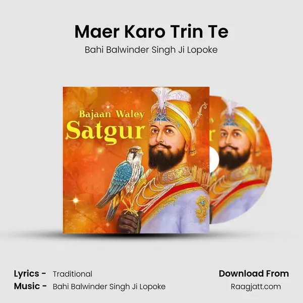 Maer Karo Trin Te - Bahi Balwinder Singh Ji Lopoke album cover 