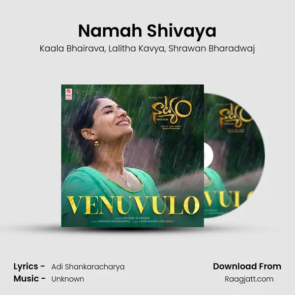 Namah Shivaya - Kaala Bhairava album cover 