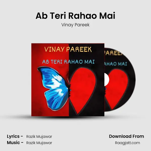 Ab Teri Rahao Mai - Vinay Pareek album cover 