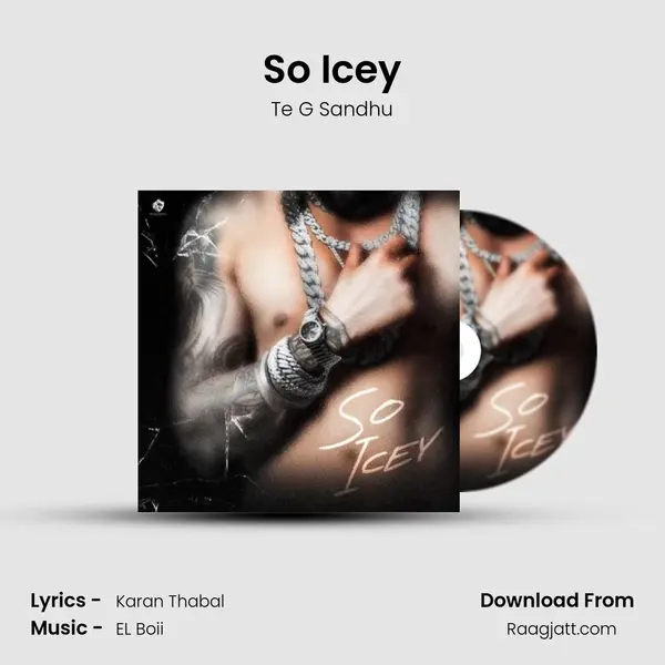 So Icey - Te G Sandhu album cover 