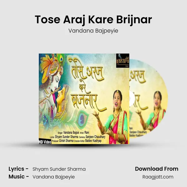 Tose Araj Kare Brijnar - Vandana Bajpeyie mp3 song