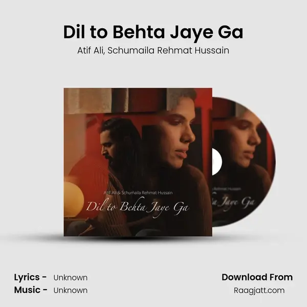 Dil to Behta Jaye Ga - Atif Ali album cover 