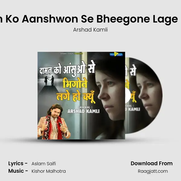 Daaman Ko Aanshwon Se Bheegone Lage Ho Kyun mp3 song