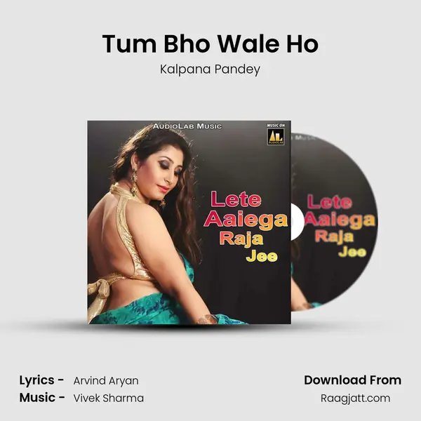 Tum Bho Wale Ho - Kalpana Pandey album cover 