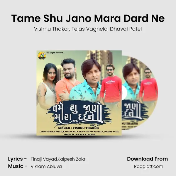 Tame Shu Jano Mara Dard Ne - Vishnu Thakor album cover 