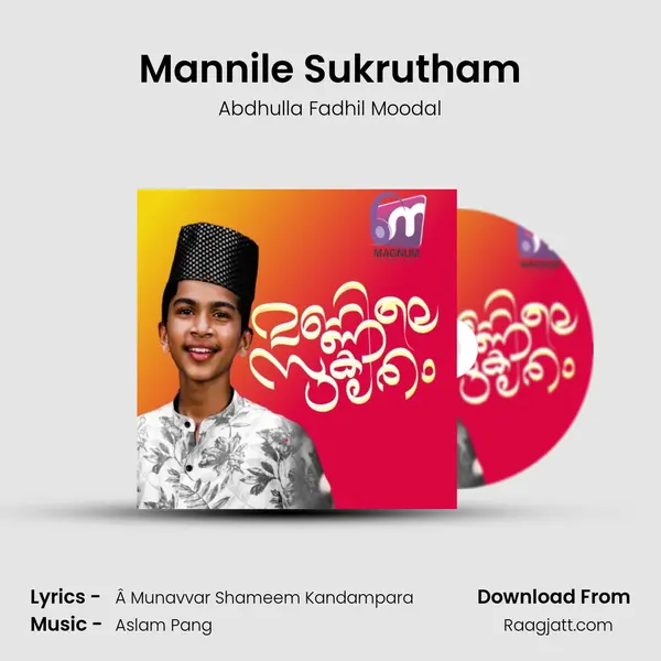 Mannile Sukrutham - Abdhulla Fadhil Moodal album cover 