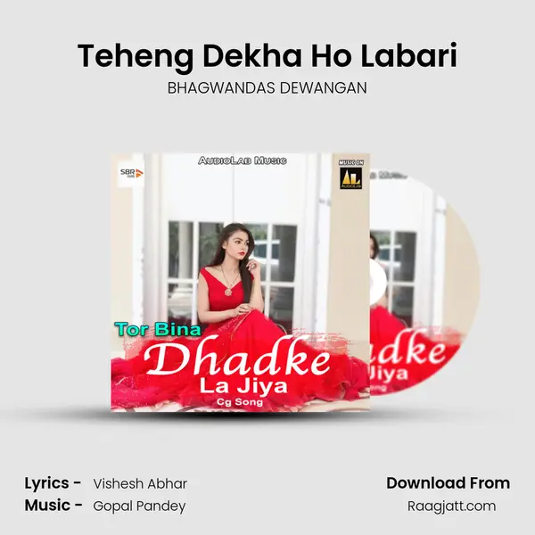 Teheng Dekha Ho Labari - BHAGWANDAS DEWANGAN album cover 