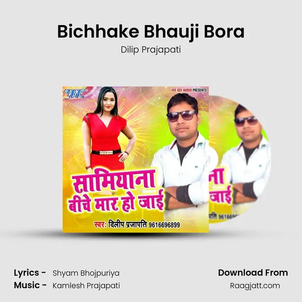 Bichhake Bhauji Bora mp3 song