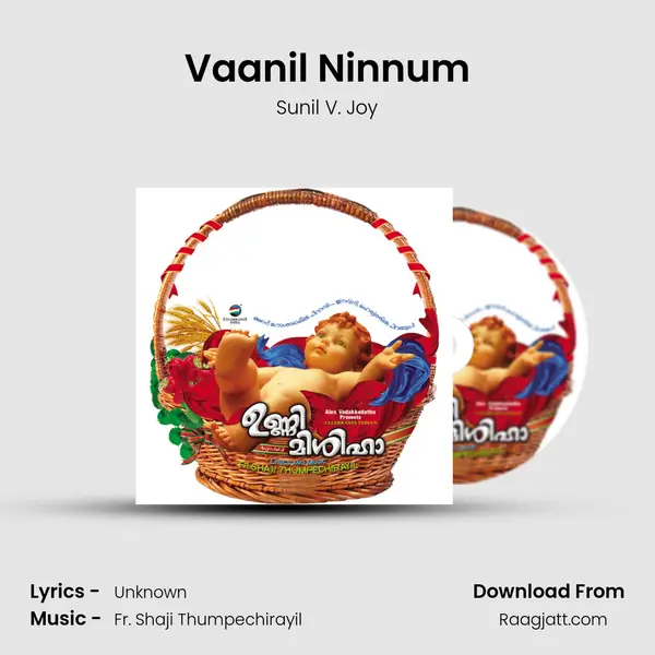 Vaanil Ninnum - Sunil V. Joy album cover 