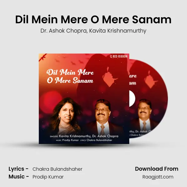 Dil Mein Mere O Mere Sanam mp3 song