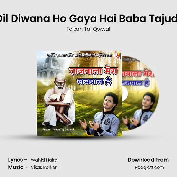 Mera Dil Diwana Ho Gaya Hai Baba Tajuddin Ka - Faizan Taj Qwwal album cover 