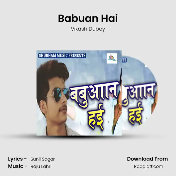 Babuan Hai - Vikash Dubey album cover 