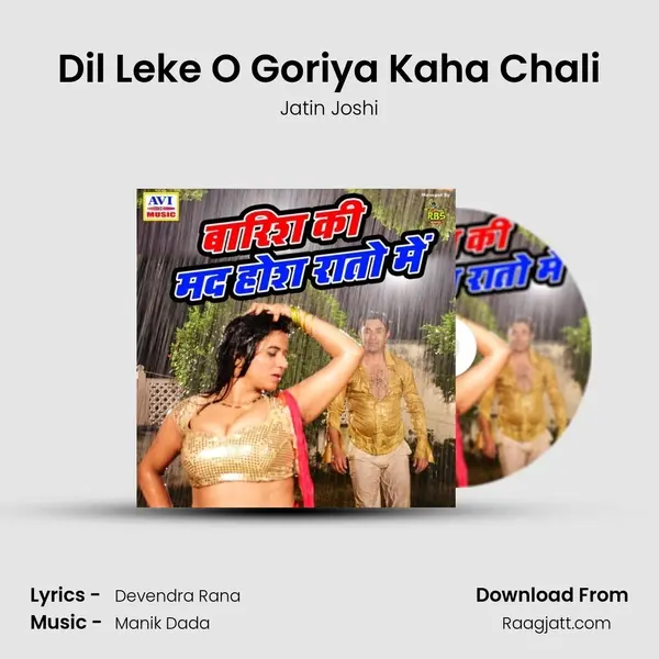 Dil Leke O Goriya Kaha Chali - Jatin Joshi album cover 