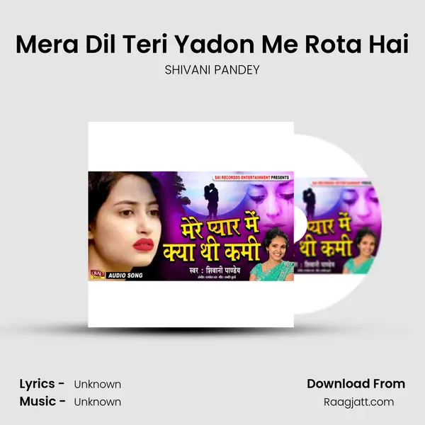 Mera Dil Teri Yadon Me Rota Hai - SHIVANI PANDEY album cover 