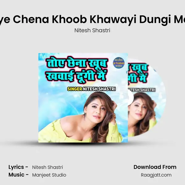 Toye Chena Khoob Khawayi Dungi Main - Nitesh Shastri album cover 