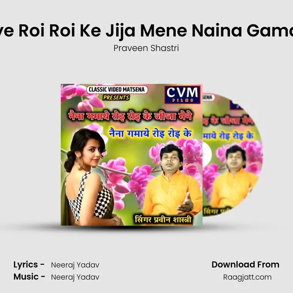 Naina Gamaye Roi Roi Ke Jija Mene Naina Gamaye Roi Roi Ke - Praveen Shastri album cover 