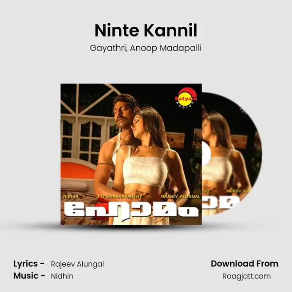 Ninte Kannil - Gayathri album cover 