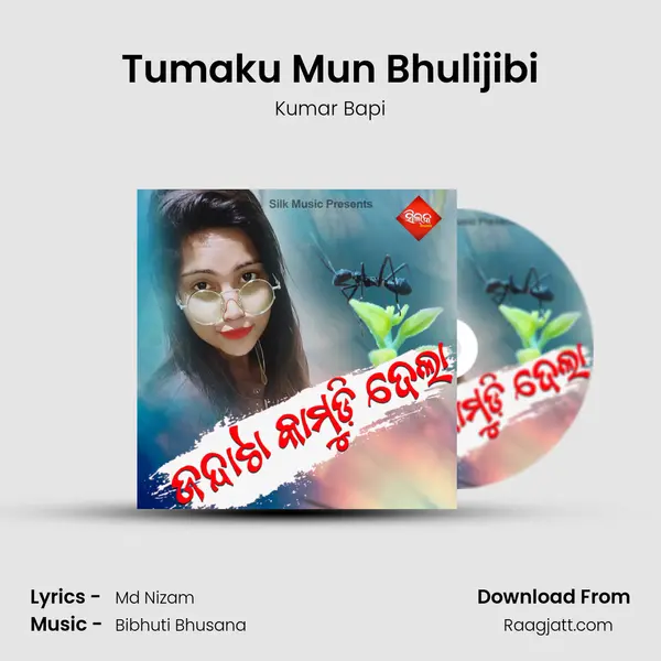 Tumaku Mun Bhulijibi - Kumar Bapi album cover 