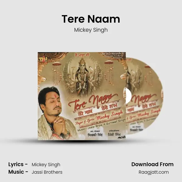 Tere Naam - Mickey Singh album cover 