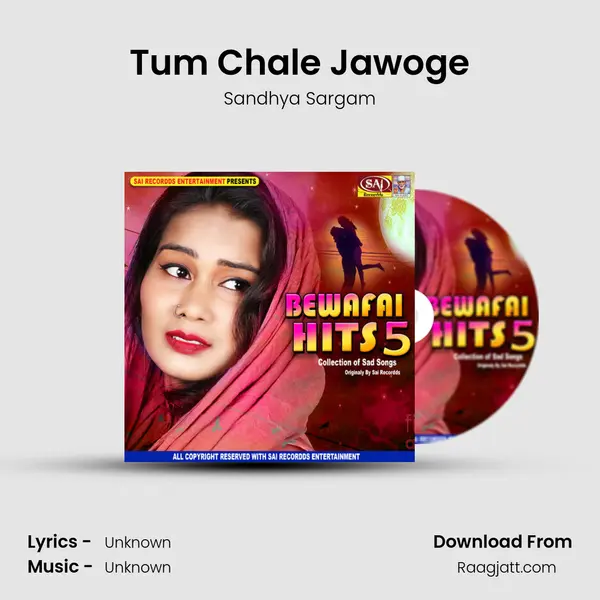 Tum Chale Jawoge - Sandhya Sargam album cover 