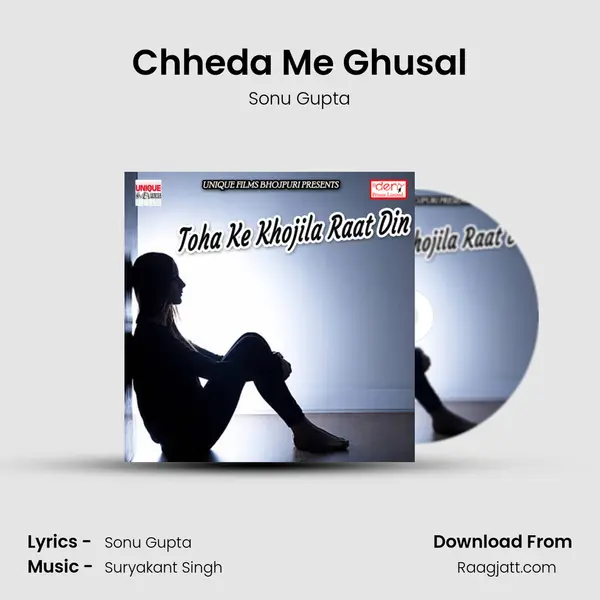 Chheda Me Ghusal - Sonu Gupta album cover 