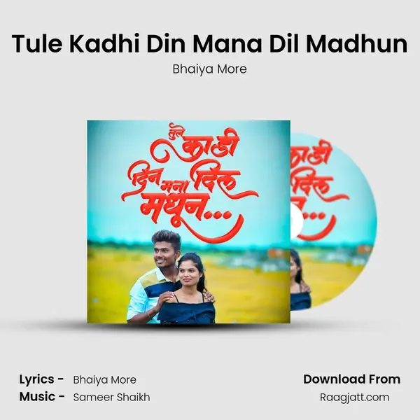 Tule Kadhi Din Mana Dil Madhun - Bhaiya More album cover 