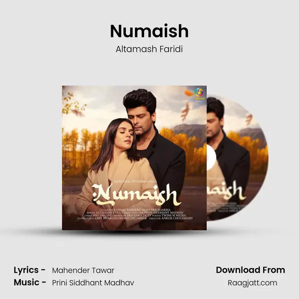 Numaish - Altamash Faridi album cover 